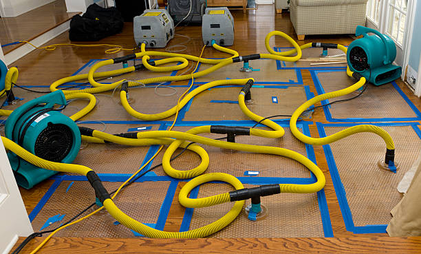 Professional Burst Pipe Water Damage technician working in Kingsland, TX